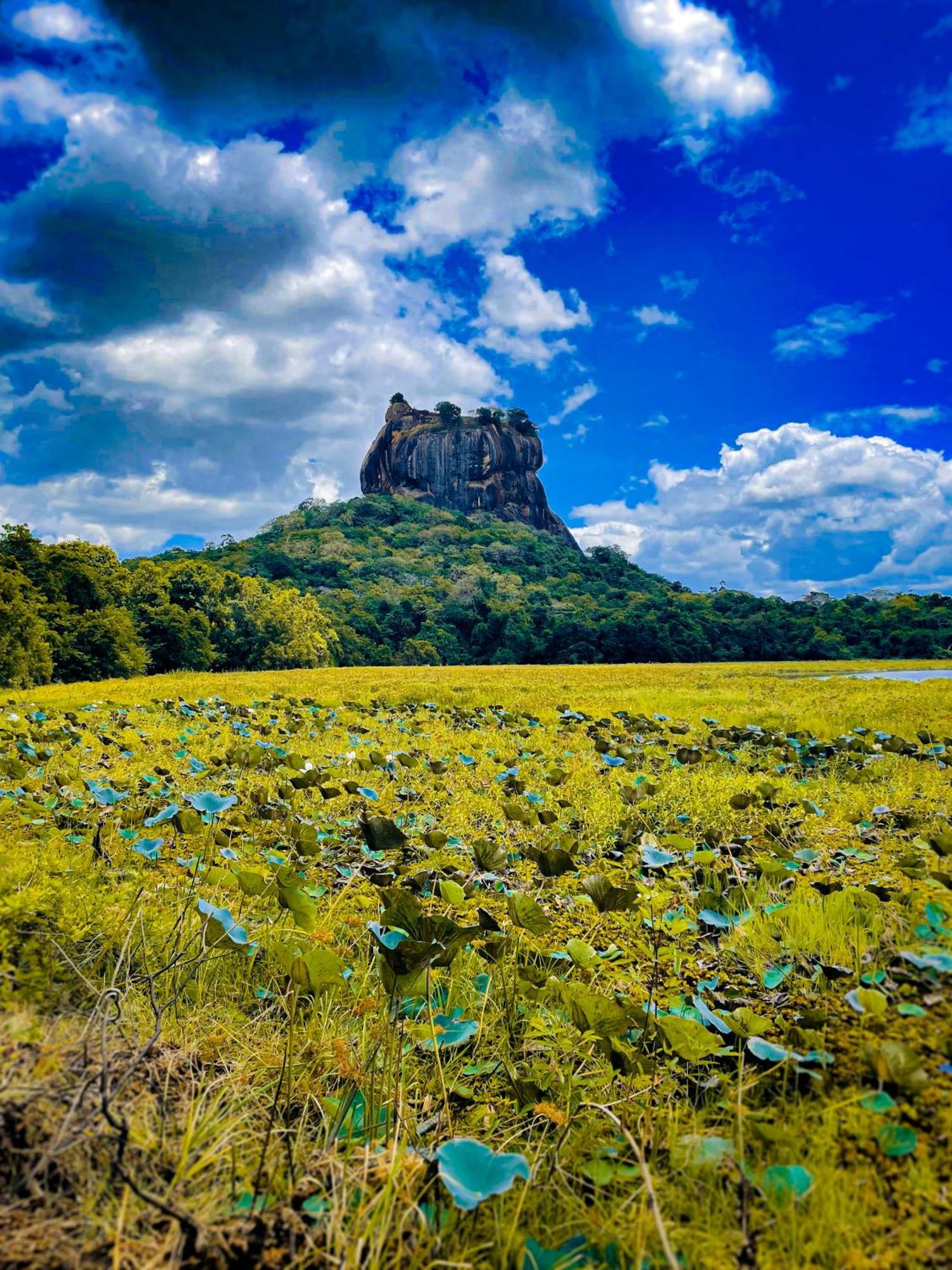 The Lotus Villa Sigiriya Exteriör bild